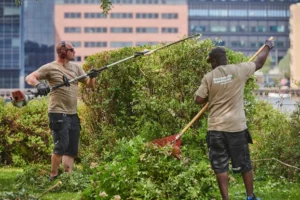 Medarbejdere fra ejendomsservice beskærer buske og samler haveaffald i fælles grønt område